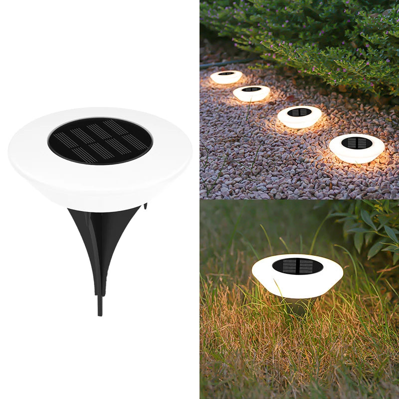 Solar Outdoor LED Lighting Decor
