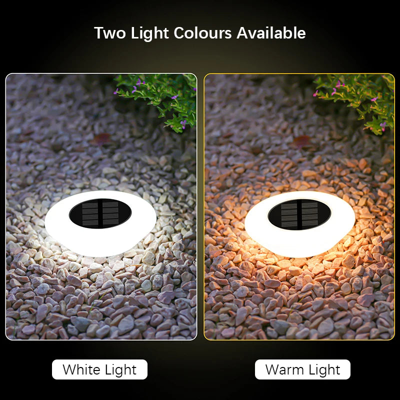 Solar Outdoor LED Lighting Decor