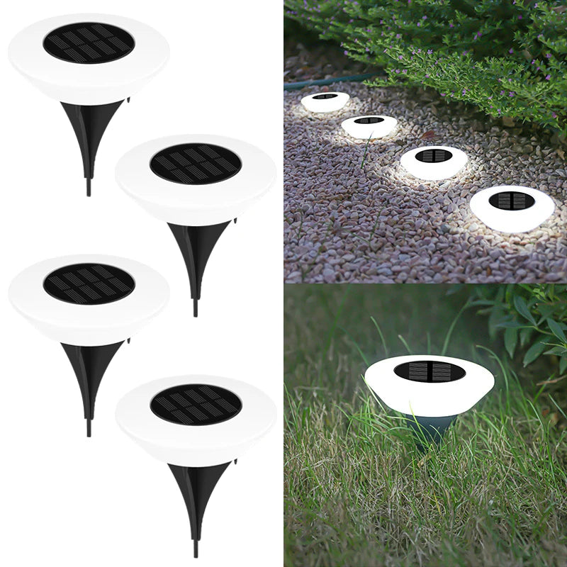 Solar Outdoor LED Lighting Decor