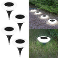 Solar Outdoor LED Lighting Decor
